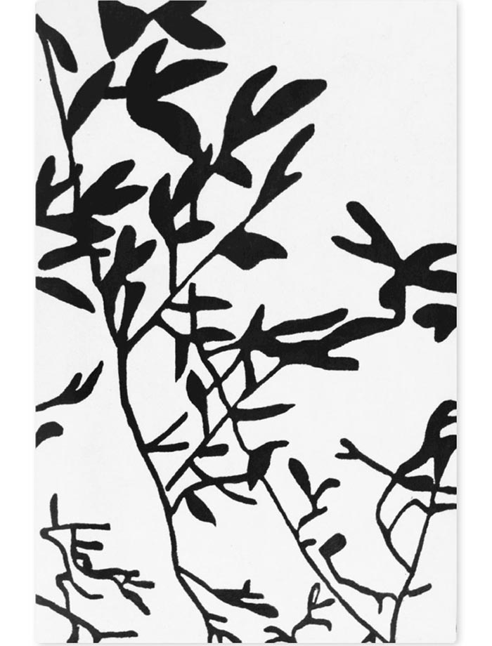 rugalia-grasses-wb