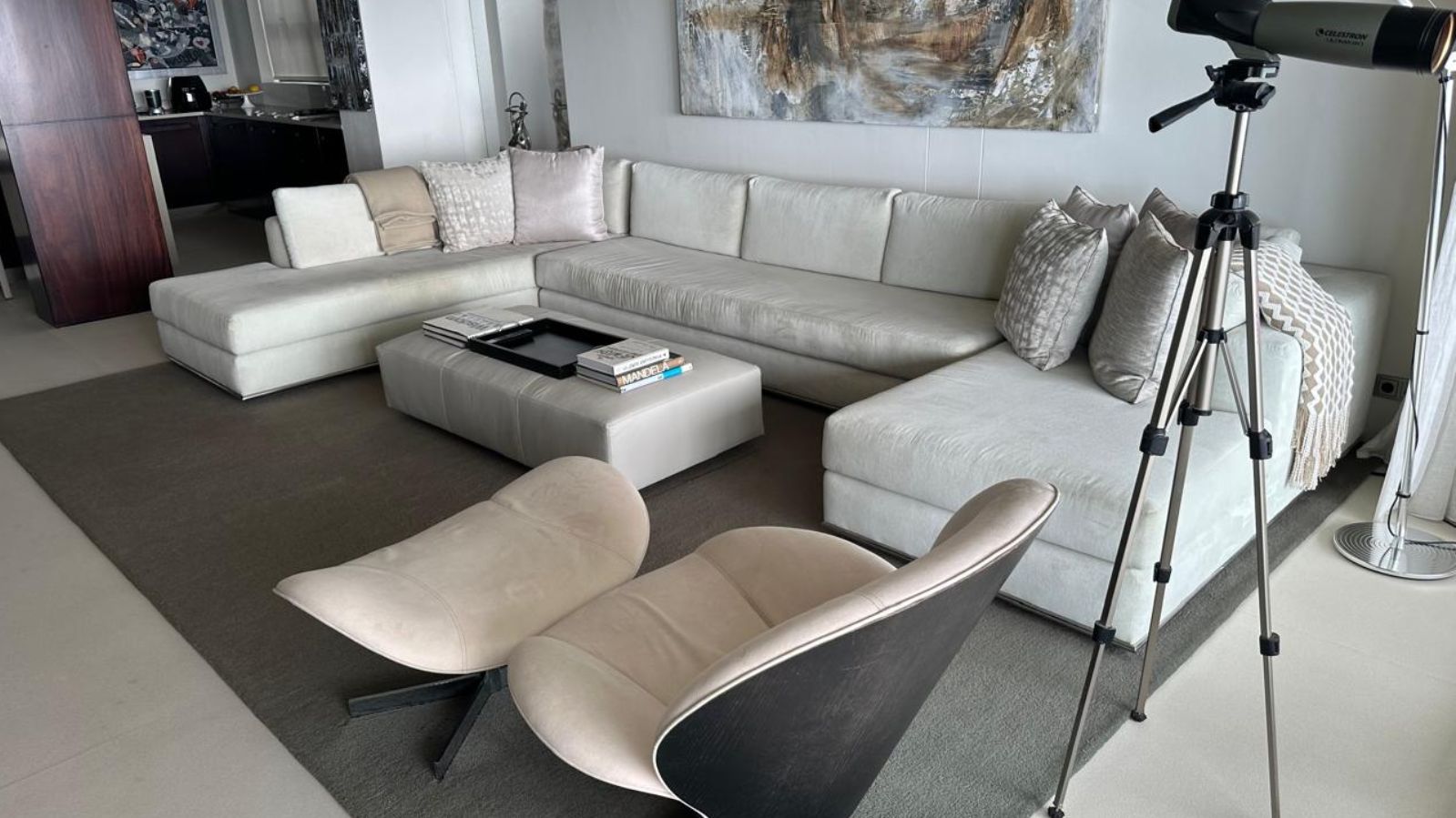 light grey handtufted rug placed in a lounge area